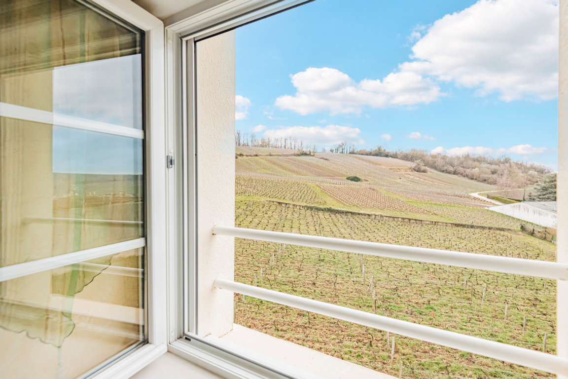 Vue sur le vignoble depuis le gîte